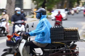 Ảnh minh họa. (Nguồn: TTXVN)