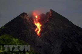 Ảnh minh họa.(Nguồn: THX/TTXVN)