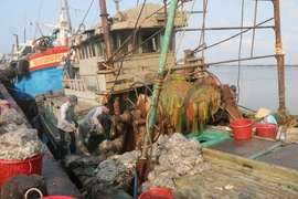 Ngư dân cảng cá Tan Phước, xã Phước Tỉnh, huyện Long Điền, tỉnh Bà Rịa-Vũng Tàu chuyển thủy sản từ khoang tàu lên bờ. (Ảnh: Hoàng Nhị/TTXVN)
