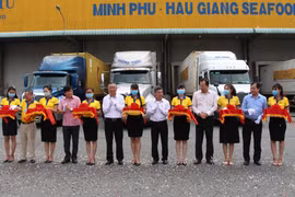 Các đại biểu thực hiện nghi thức đưa lô hàng đi xuất khẩu. (Ảnh: Hồng Thái/TTXVN)