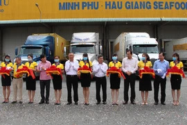 Các đại biểu thực hiện nghi thức đưa lô hàng đi xuất khẩu. (Ảnh: Hồng Thái/TTXVN)
