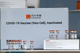 Các lọ vắcxin ngừa COVID-19 của Sinovac Biotech, Trung Quốc sau khi được chuyển tới Bangkok, Thái Lan ngày 24/2/2021. (Ảnh: AFP/TTXVN)