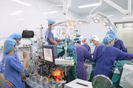 Ảnh minh họa. (Ảnh: PV/Vietnam+)