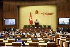 Quang cảnh phiên khai mạc. (Ảnh: Doãn Tấn/TTXVN) 