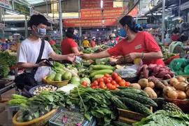 Ảnh minh họa. (Nguồn: TTXVN) 