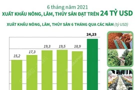 [Infographics] Xuất khẩu nông, lâm, thủy sản đạt trên 24 tỷ USD