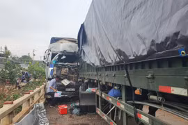 Ảnh chỉ có tính minh họa. (Nguồn: TTXVN)