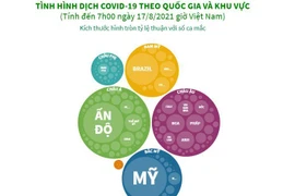 [Infographics] Tình hình dịch COVID-19 theo quốc gia và khu vực