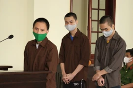 Các bị cáo tại phiên xét xử. (Ảnh: Đậu Tất Thành/TTXVN)