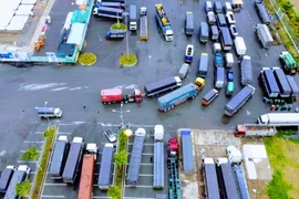 Hàng chục xe tải, xe container vẫn nằm chờ được vào thành phố Cần Thơ giao nhận hàng trong ngày 26/8 tại Bến xe trung tâm thành phố. (Ảnh: TTXVN phát) 