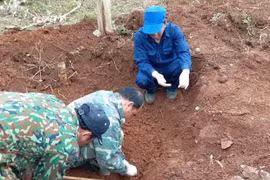 Đội Quy tập hài cốt liệt sỹ của Đoàn Kinh tế-Quốc phòng 337 cất bốc hài cốt liệt sỹ tại bản Cheng, xã Tân Liên, huyện Hướng Hóa, tỉnh Quảng Trị. (Ảnh: TTXVN phát)