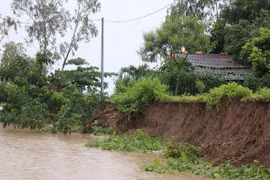 Ảnh minh họa.(Nguồn: TTXVN)