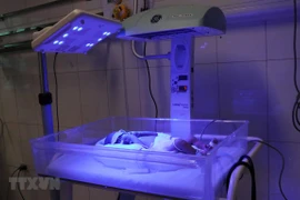 Ảnh chỉ có tính minh họa. (Nguồn: TTXVN)