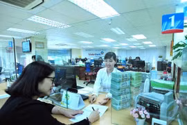 Ảnh minh họa. (Ảnh: CTV/Vietnam+)