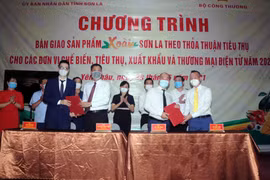Lễ ký kết giữa đại diện UBND tỉnh Sơn La và các đơn vị tại chương trình Bàn giao sản phẩm xoài Sơn La theo thỏa thuận tiêu thụ cho các đơn vị chế biến, tiêu thụ, xuất khẩu và thương mại điện tử năm 2021. (Ảnh: Quang Quyết/TTXVN)