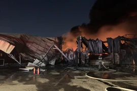 Hiện trường vụ cháy tại Công ty Trách nhiệm hữu hạn Insulpack Việt Nam, phường An Phú, thành phố Thuận An, tỉnh Bình Dương. (Nguồn: TTXVN)