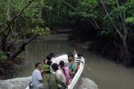 Du khách tham quan Rừng Sác, Cần Giờ. (Ảnh: Hoàng Hải/TTXVN)