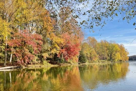 Hồ nước in bóng hàng cây mùa Thu. (Ảnh: Đặng Huyền/TTXVN) 