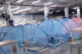 Công nhân của Công ty TNHH Gỗ Kỹ nghệ WANEK 2 (phường Hòa Phú, thành phố Thủ Dầu Một, tỉnh Bình Dương) đang nằm nghỉ trong khu vực phong tỏa của Công ty. (Ảnh: TTXVN phát)