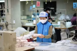 Doanh nghiệp dệt may sản xuất khẩu trang phục vụ thị trường. (Ảnh: Đức Duy/Vietnam+)