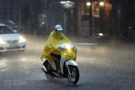 (Ảnh: Dương Giang/TTXVN)