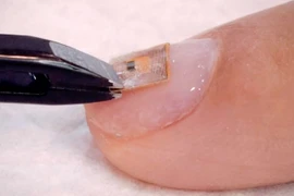 Vi chip biến móng tay thành danh thiếp kỹ thuật số.(Nguồn: odditycentral.com)