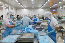 Dây chuyền chế biến cá tra tại Công ty cổ phần Xuất nhập khẩu thủy sản An Giang. (Ảnh: Công Mạo/TTXVN)
