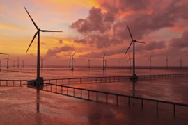 Nhà máy Điện Gió Bạc Liêu được xây dựng trên diện tích rộng trên 100ha, công suất 99MW, sản xuất khoảng 320 triệu kW/năm. (Nguồn: TTXVN)