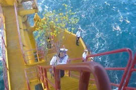 Cành mai vàng - biểu tượng mùa Xuân đất liền ra với chiến sỹ nhà giàn giữa biển khơi. (Ảnh: Quang Vinh/Vietnam+)