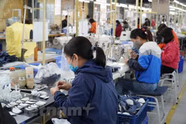 Sản xuất da giày xuất khẩu. (Ảnh: Đức Duy/Vietnam+)