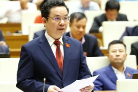 Đại biểu Quốc hội thành phố Hà Nội Hoàng Văn Cường phát biểu ý kiến. (Ảnh: Doãn Tấn/TTXVN)