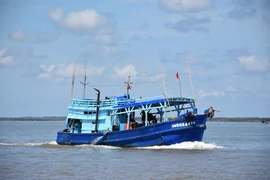 Tàu cá hoạt động trên vùng biển tỉnh Bạc Liêu. (Ảnh: Tuấn Kiệt/TTXVN)