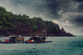 Mặc cho điều kiện sống khắc nghiệt, nhưng những lá cờ vẫn hiên ngang tung bay trên bầu trời Tây Nam Tổ quốc. (Ảnh: Huỳnh Anh/TTXVN) 