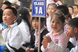 Ảnh minh họa. (Phạm Mai/Vietnam+)
