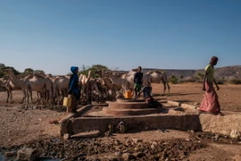 Người dân lấy nước sinh hoạt tại giếng ở El Gel, Ethiopia ngày 12/1/2023. (Ảnh: AFP/TTXVN)