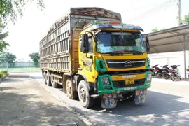 (Ảnh minh họa: TTXVN phát)