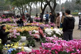 Không khí lạnh sẽ ảnh hưởng tới Bắc Bộ vào đúng dịp nghỉ Tết Nguyên đán Giáp Thìn. (Ảnh: Văn Tý/TTXVN)