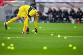 Người hâm mộ ném bóng tennis xuống sân bóng ở Bundesliga. (Nguồn: World Soccer Talk)
