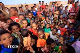 Ảnh minh họa. (Nguồn: AFP/TTXVN)