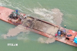 Ảnh minh họa. (Nguồn: TTXVN)