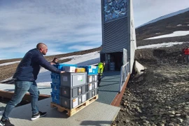 Kho dự trữ hạt giống toàn cầu Svalbard. (Nguồn: El Pais)