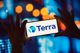 Công ty tiền kỹ thuật số Terraform Labs nộp đơn xin bảo hộ phá sản ở Mỹ