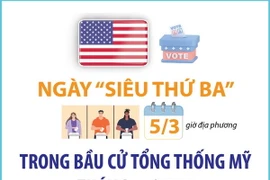 Ngày “Siêu Thứ Ba” trong cuộc bầu cử Tổng thống Mỹ tháng 11/2024