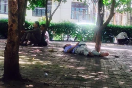 Tại điểm thi thuộc Đại học Sư phạm, một phụ huynh nằm thẳng đượt trong vườn hoa dưới cái nóng như thiêu đốt ở thủ đô Hà Nội. (Ảnh Sơn Bách/Vietnam+)
