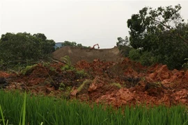 Hơn 3.000m3 đất cát sạt xuống các đám ruộng lúa phía dưới chân đập. (Ảnh: Việt Dũng/TTXVN)
