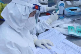Lấy mẫu xét nghiệm sàng lọc SARS-CoV-2. (Ảnh: Phạm Cường/TTXVN)