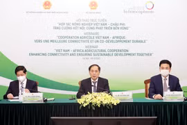 Bộ trưởng Ngoại giao Bùi Thanh Sơn phát biểu khai mạc hội thảo. (Ảnh: Lâm Khánh/TTXVN)