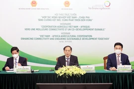 Bộ trưởng Ngoại giao Bùi Thanh Sơn phát biểu khai mạc hội thảo. (Ảnh: Lâm Khánh/TTXVN)