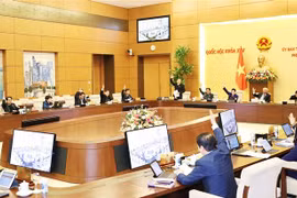 Ủy ban Thường vụ Quốc hội biểu quyết thông qua việc chuyển đổi phương thức đầu tư. (Ảnh: Trọng Đức/TTXVN)