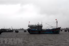 Ảnh minh họa. (Nguồn: TTXVN)